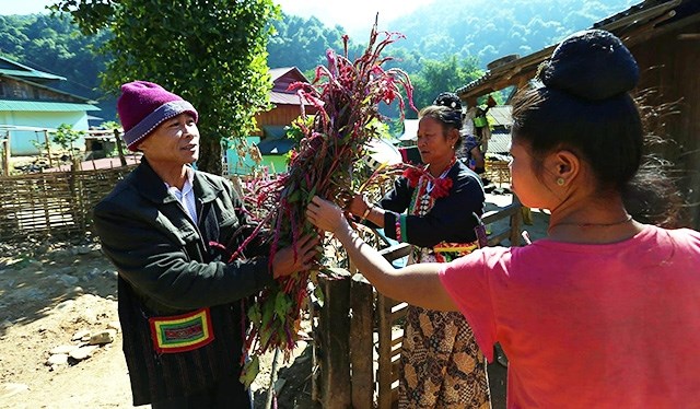 Vui hoa Tết cùng đồng bào dân tộc Cống (28/11/2020)